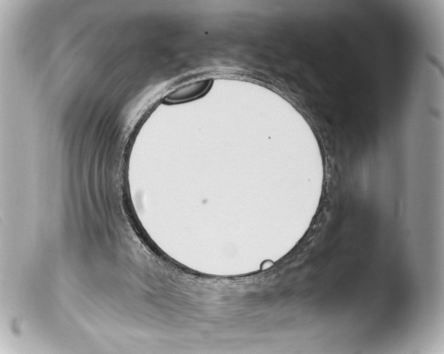 X0000103470007200810100946