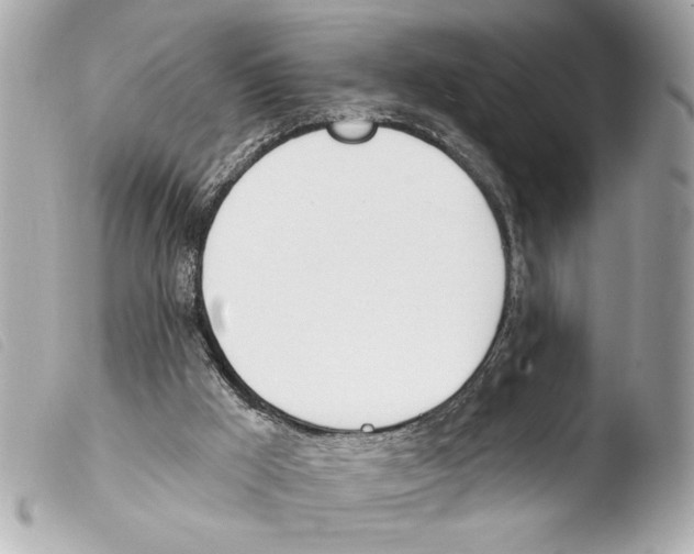 X0000103470009200810100946