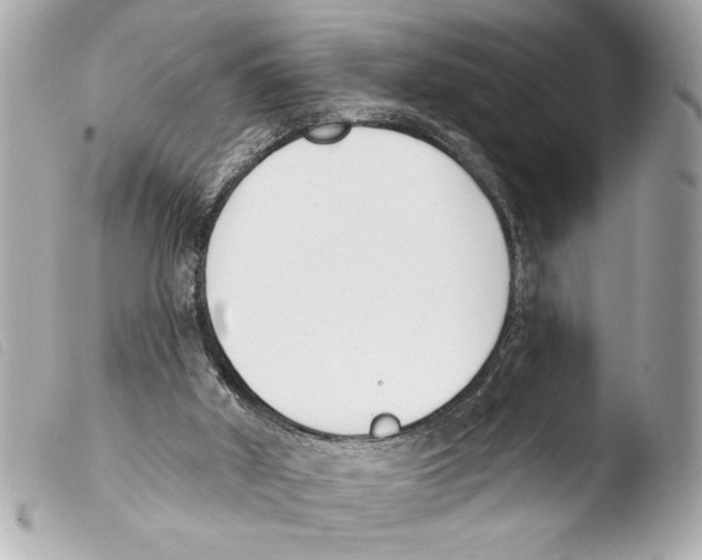 X0000103470010200810100946