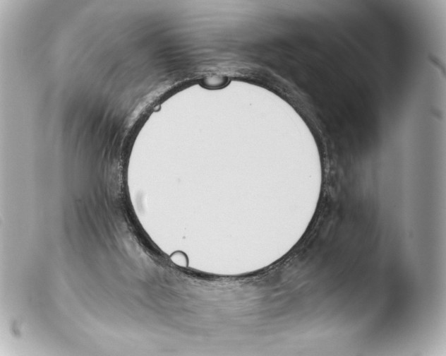 X0000103470012200810100946