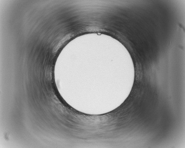 X0000103470015200810100946