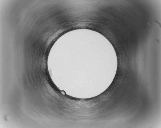 X0000103470016200810100946