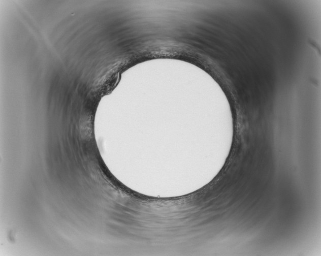 X0000103470017200810100946
