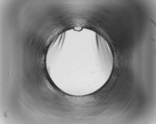 X0000103470018200810100946