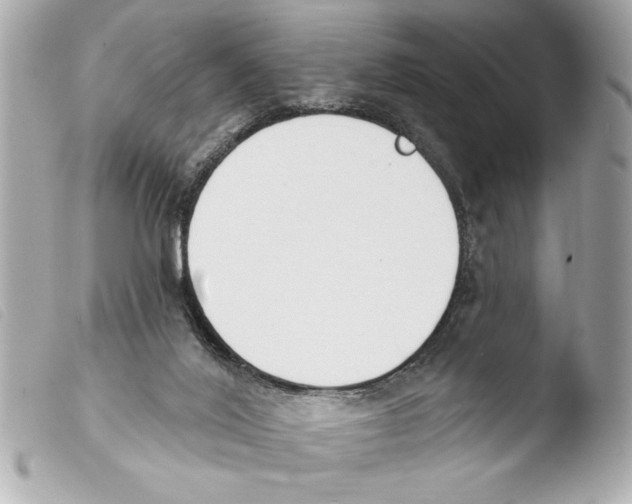 X0000103470020200810100946