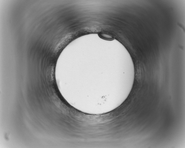 X0000103470023200810100946