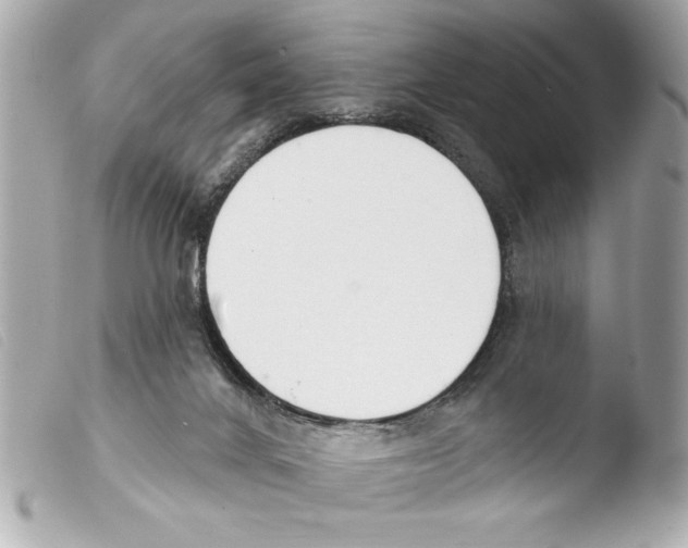 X0000103470024200810100946