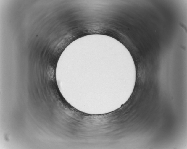 X0000103470025200810100946