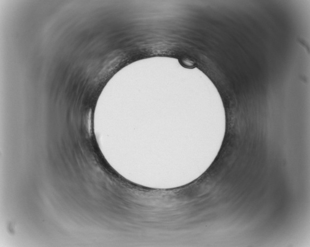 X0000103470028200810100946