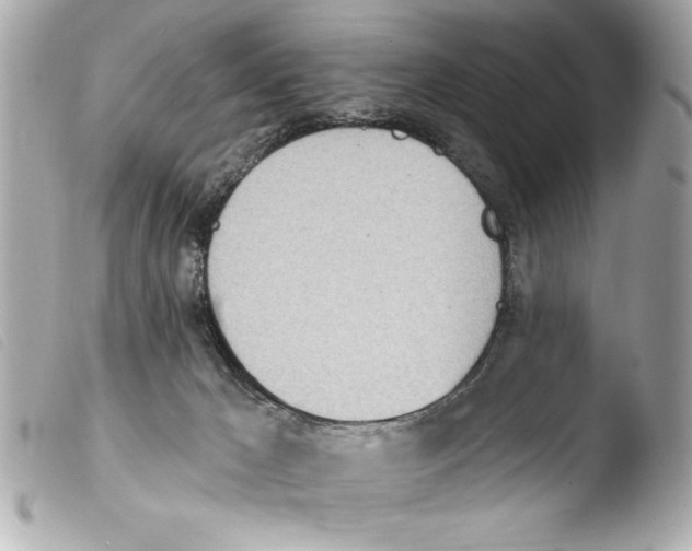 X0000103470029200810100946