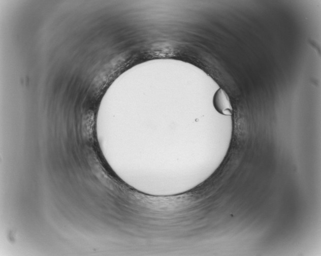 X0000103470030200810100946