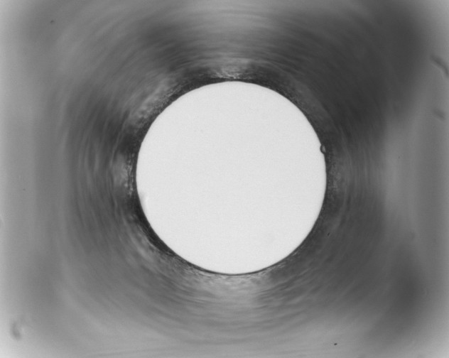 X0000103470031200810100946