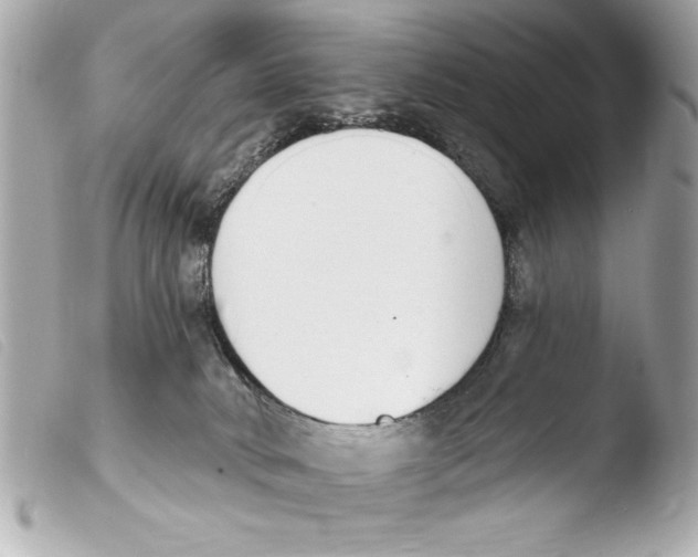 X0000103470034200810100946