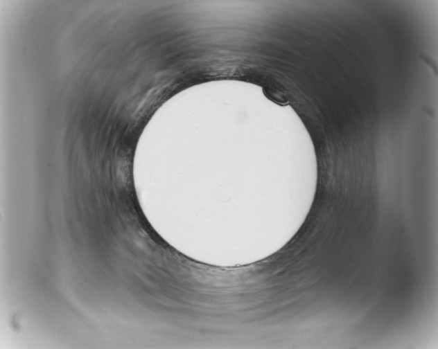 X0000103470035200810100946
