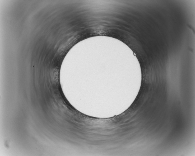 X0000103470036200810100946