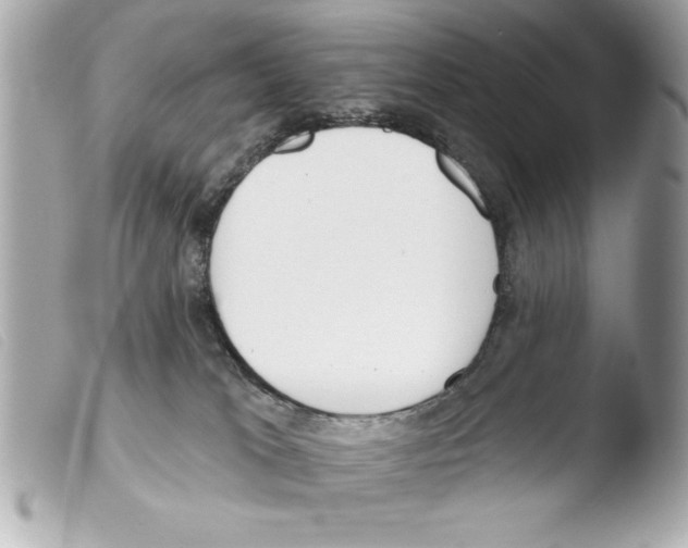 X0000103470037200810100946