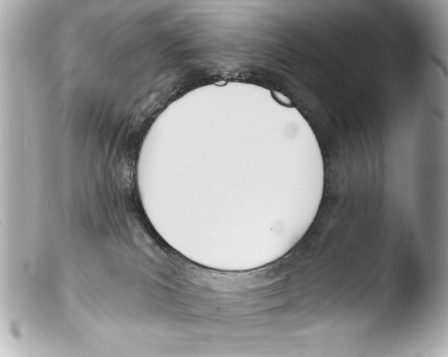 X0000103470039200810100946