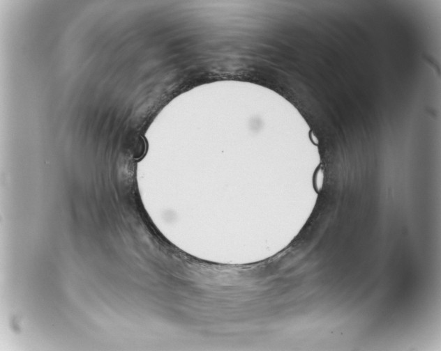X0000103470040200810100946