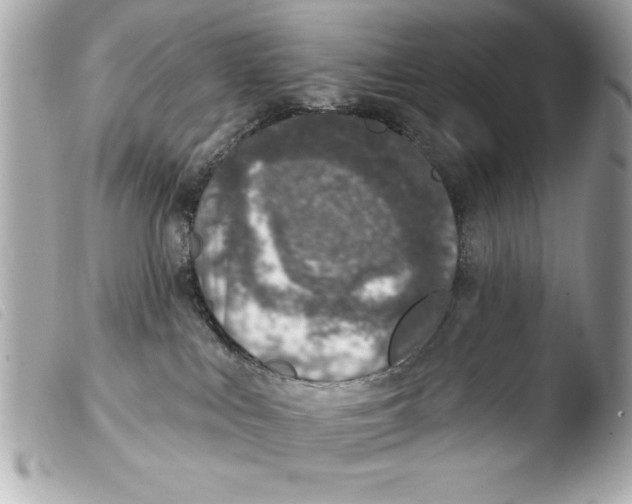 X0000103470043200810100946