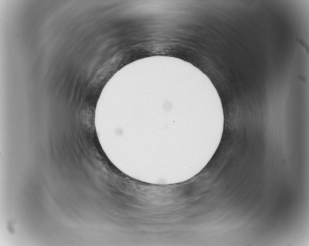 X0000103470044200810100946