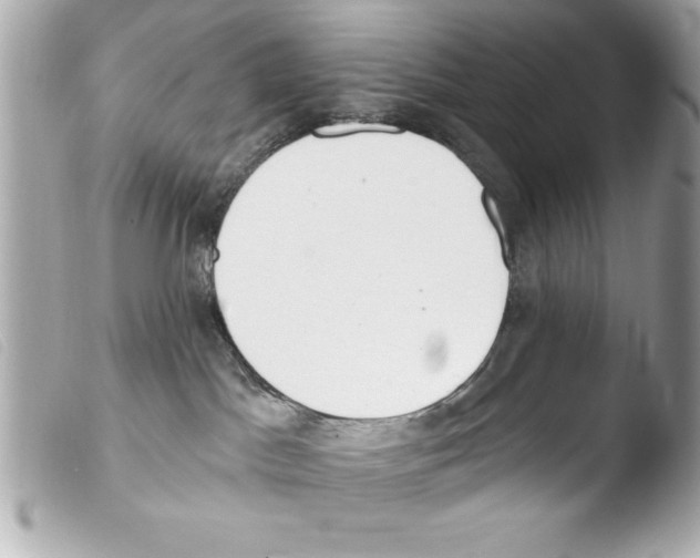 X0000103470045200810100946