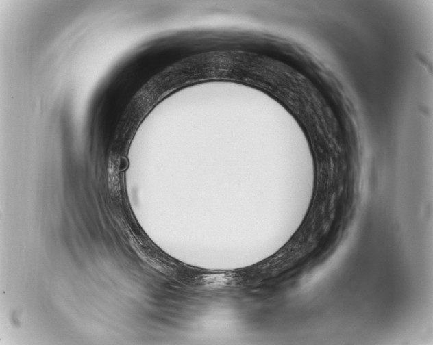 X0000103470050200810100945