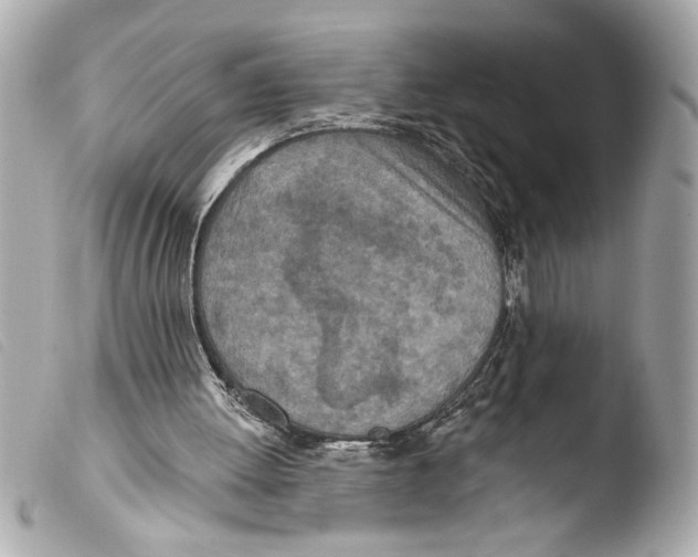 X0000103470052200810100945