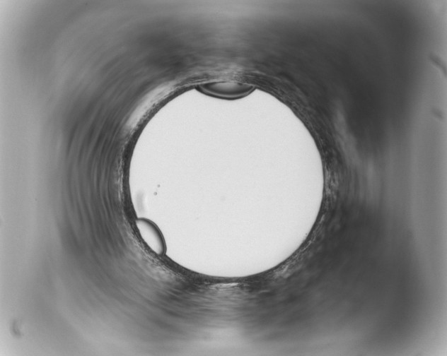 X0000103470054200810100945