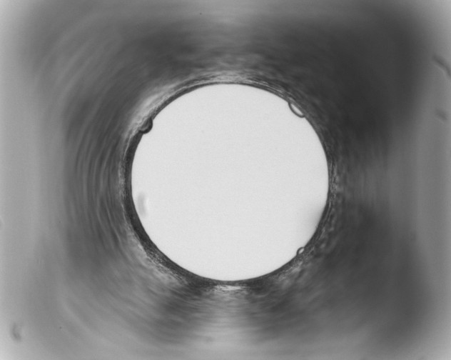 X0000103470055200810100945