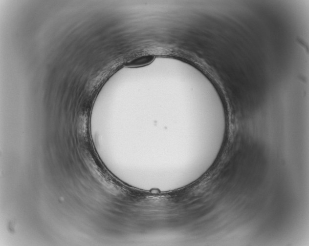 X0000103470057200810100945