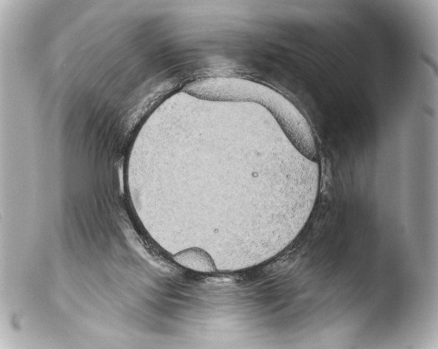 X0000103470061200810100945