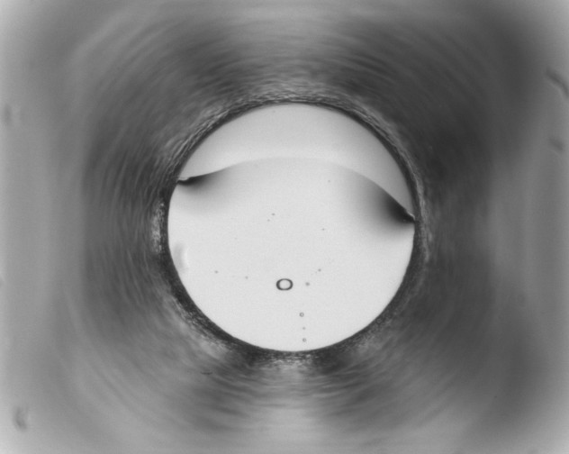 X0000103470065200810100945