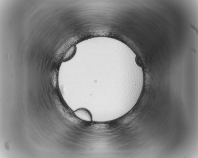 X0000103470069200810100945