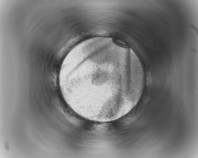 X0000103470072200810100945
