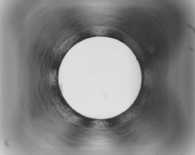 X0000103470073200810100945