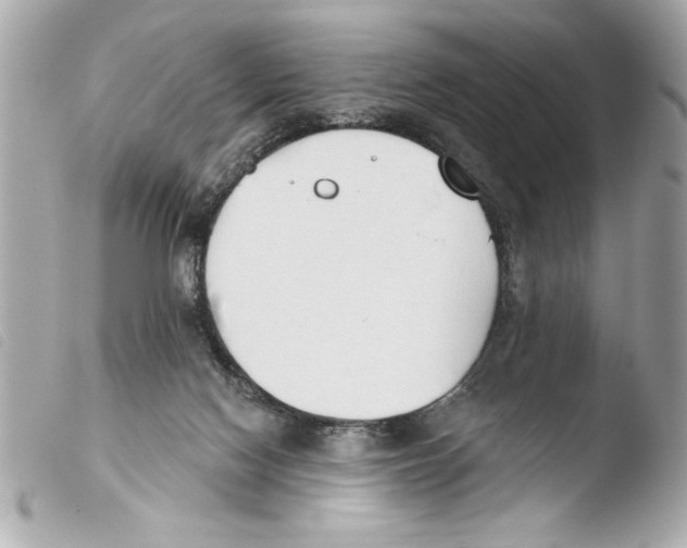 X0000103470074200810100945