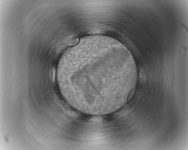X0000103470076200810100945