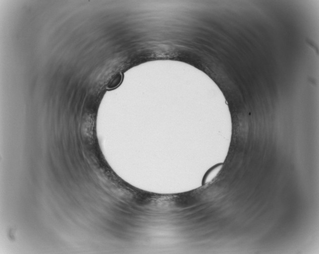 X0000103470078200810100945