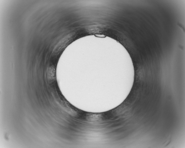 X0000103470081200810100945