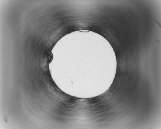 X0000103470082200810100945