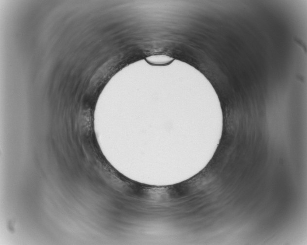 X0000103470085200810100945