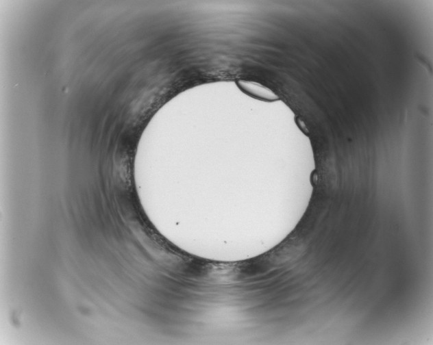 X0000103470088200810100945