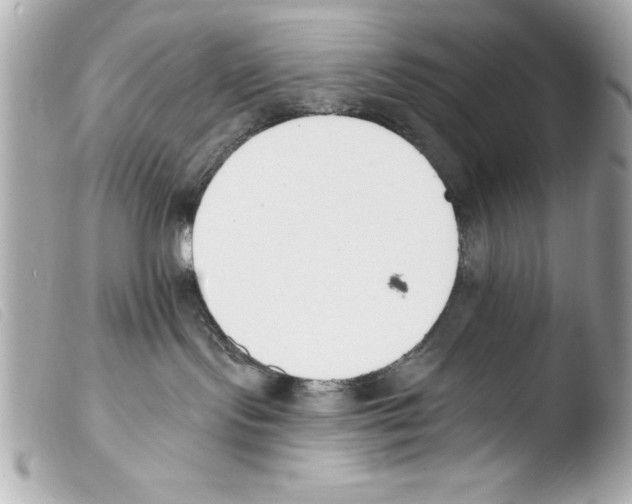 X0000103470095200810100945
