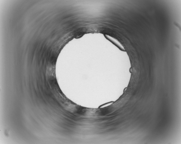 X0000103470096200810100945