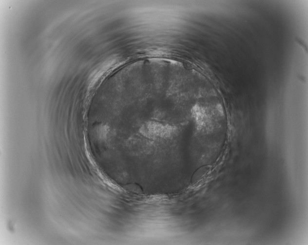 X0000103470097200810100945