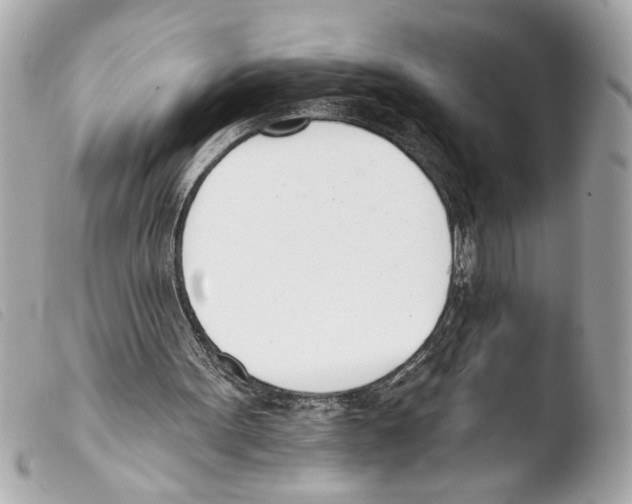 X0000103470099200810100945