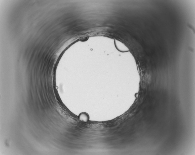 X0000103470100200810100945