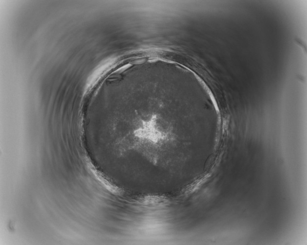 X0000103470101200810100945