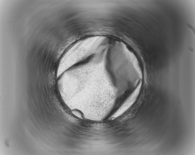 X0000103470105200810100944