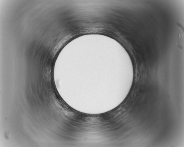 X0000103470107200810100944